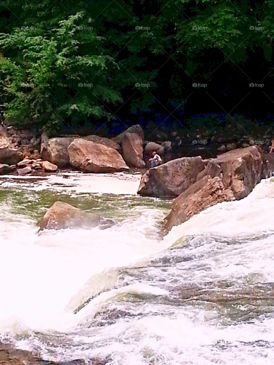 A river froths and foams as it churns quickly over boulders in its path.