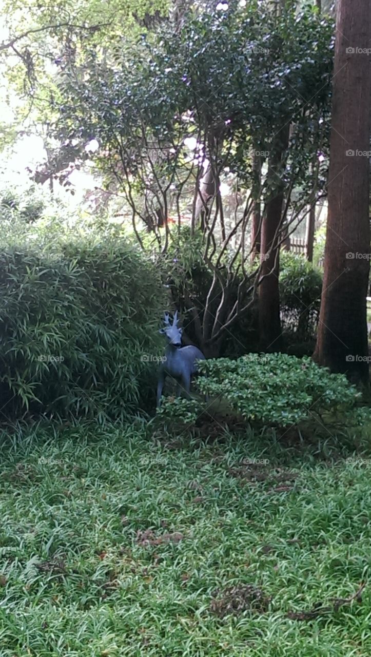 Japanese Tea Garden secret statue
