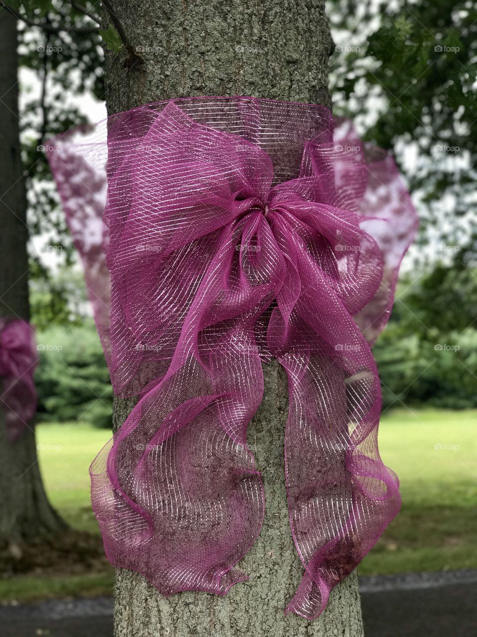Pink ribbon tied on old oak