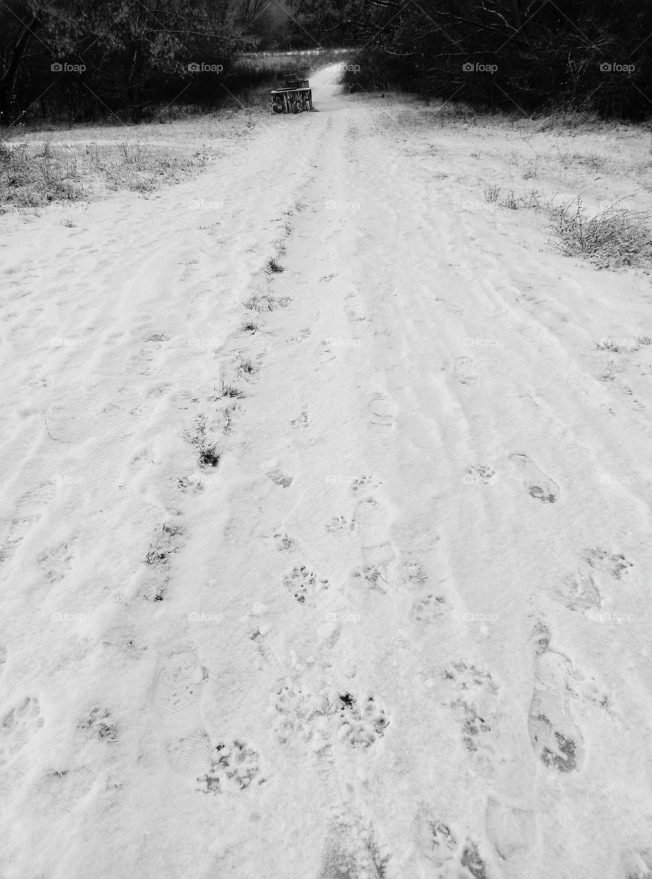 Impronte sulla strada innevata