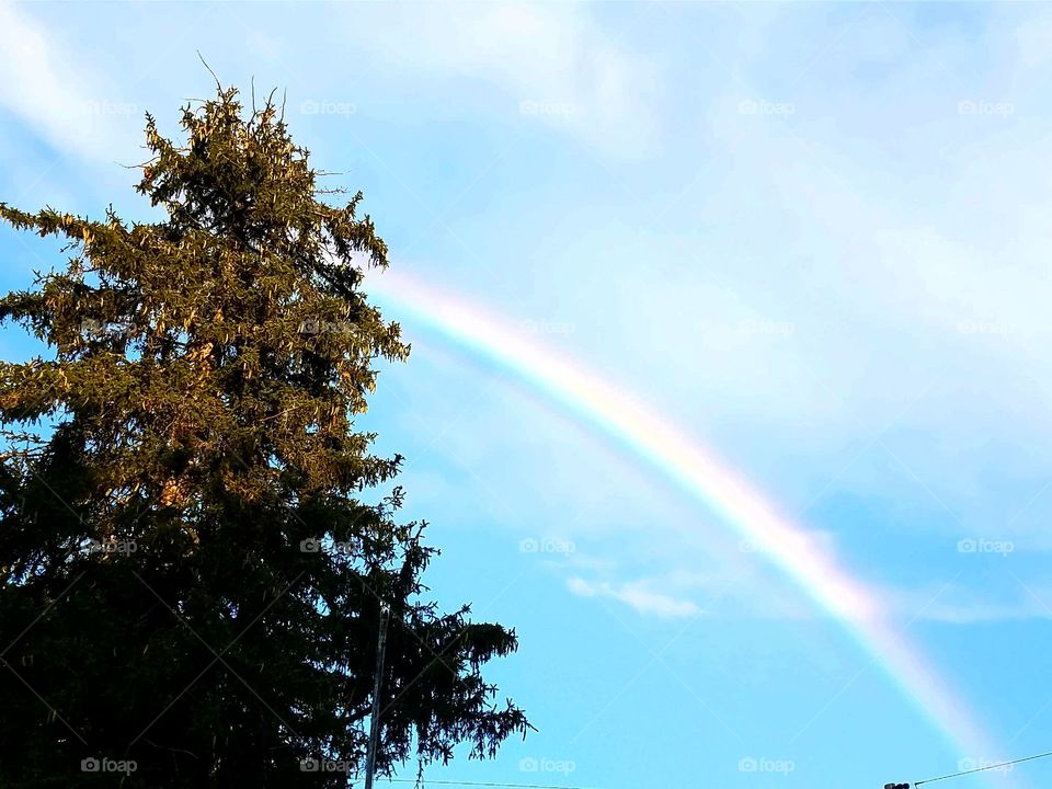 Beautiful rainbow on a clear day