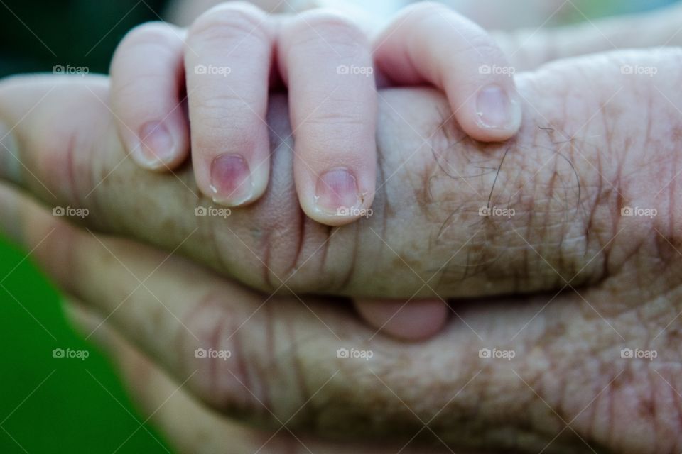 This photo shows a grandpa holding his newborn granddaughters hand.