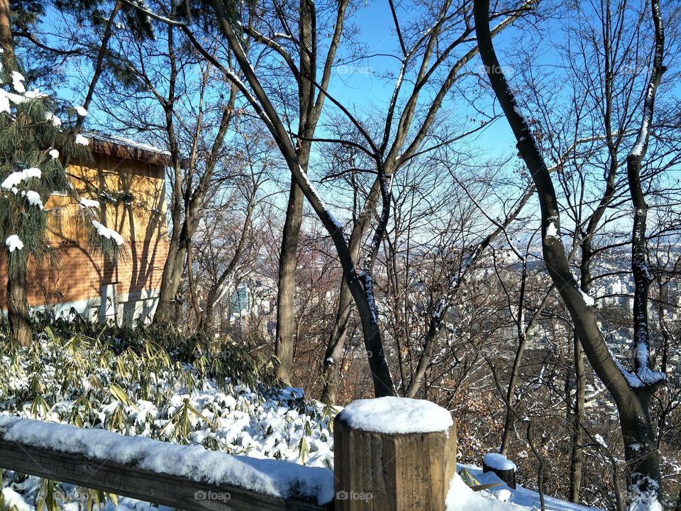 Winter Seoul