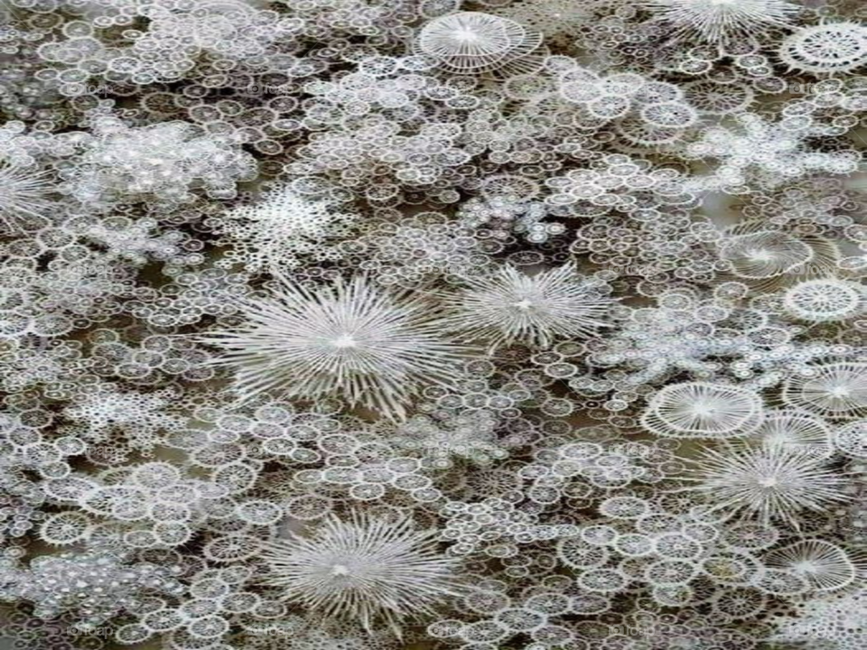 Beautiful snow background in microscope