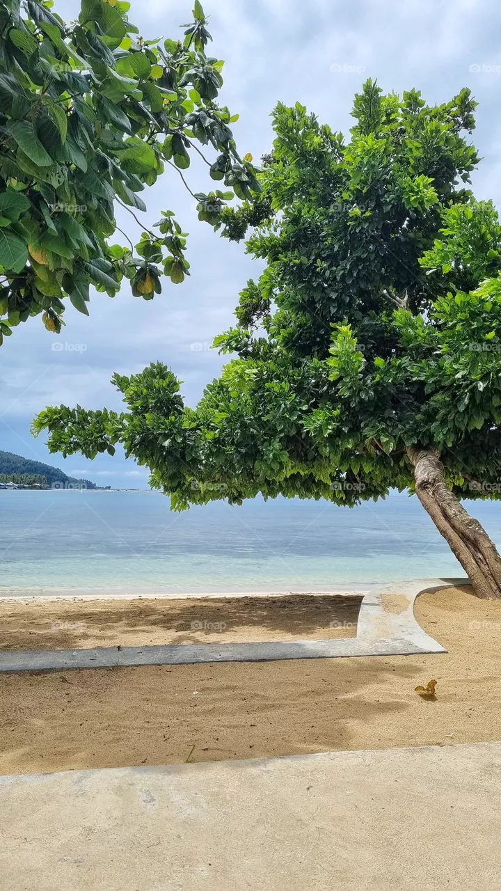 surigao beach