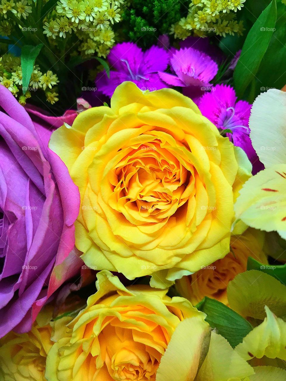 Lush purple and yellow roses.