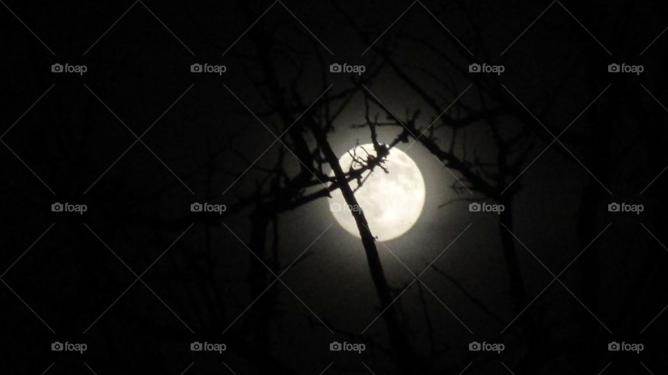 Moon light beautiful night