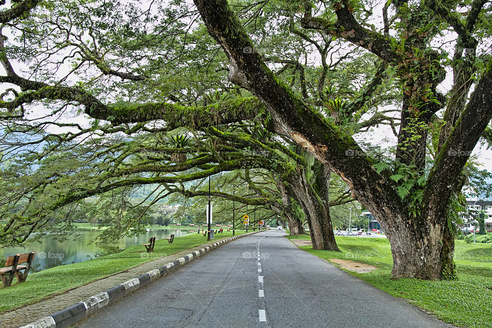 View of straight road