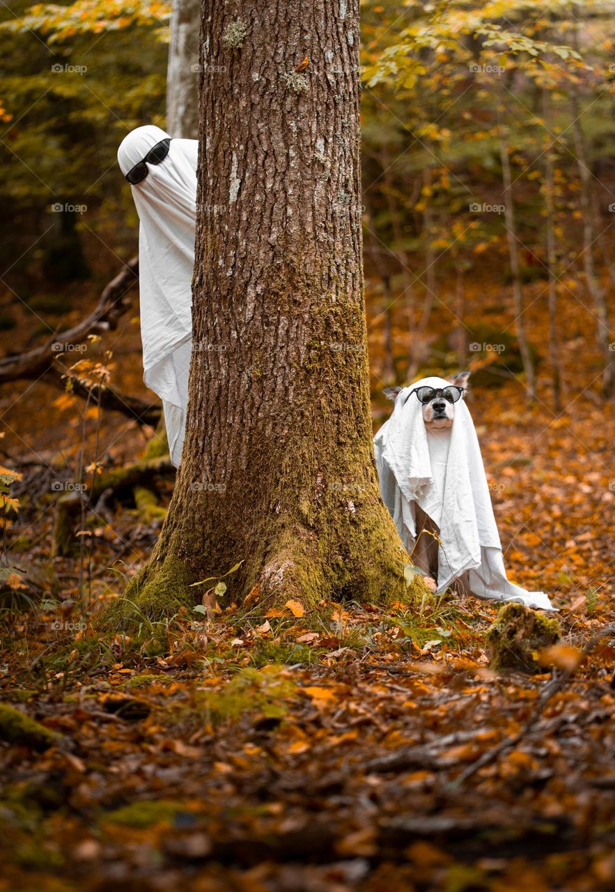 A woman and dog dressed up as ghosts for halloween