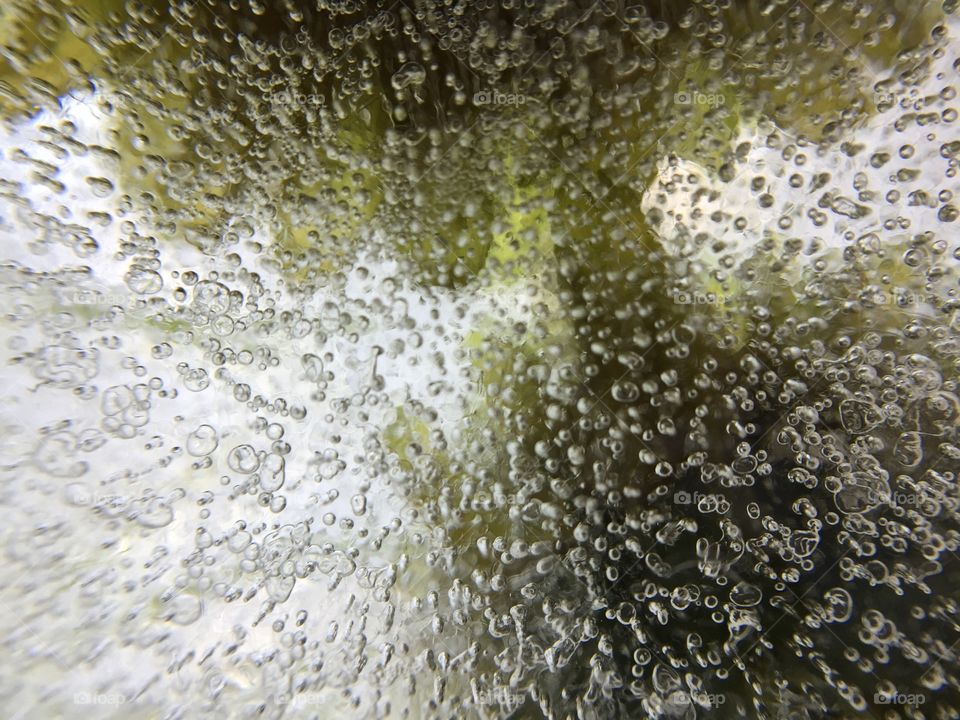 Bubbles