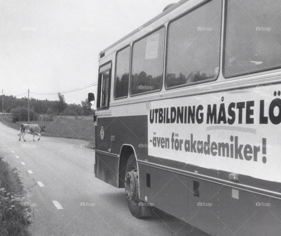 bus animal road stop by MagnusPm