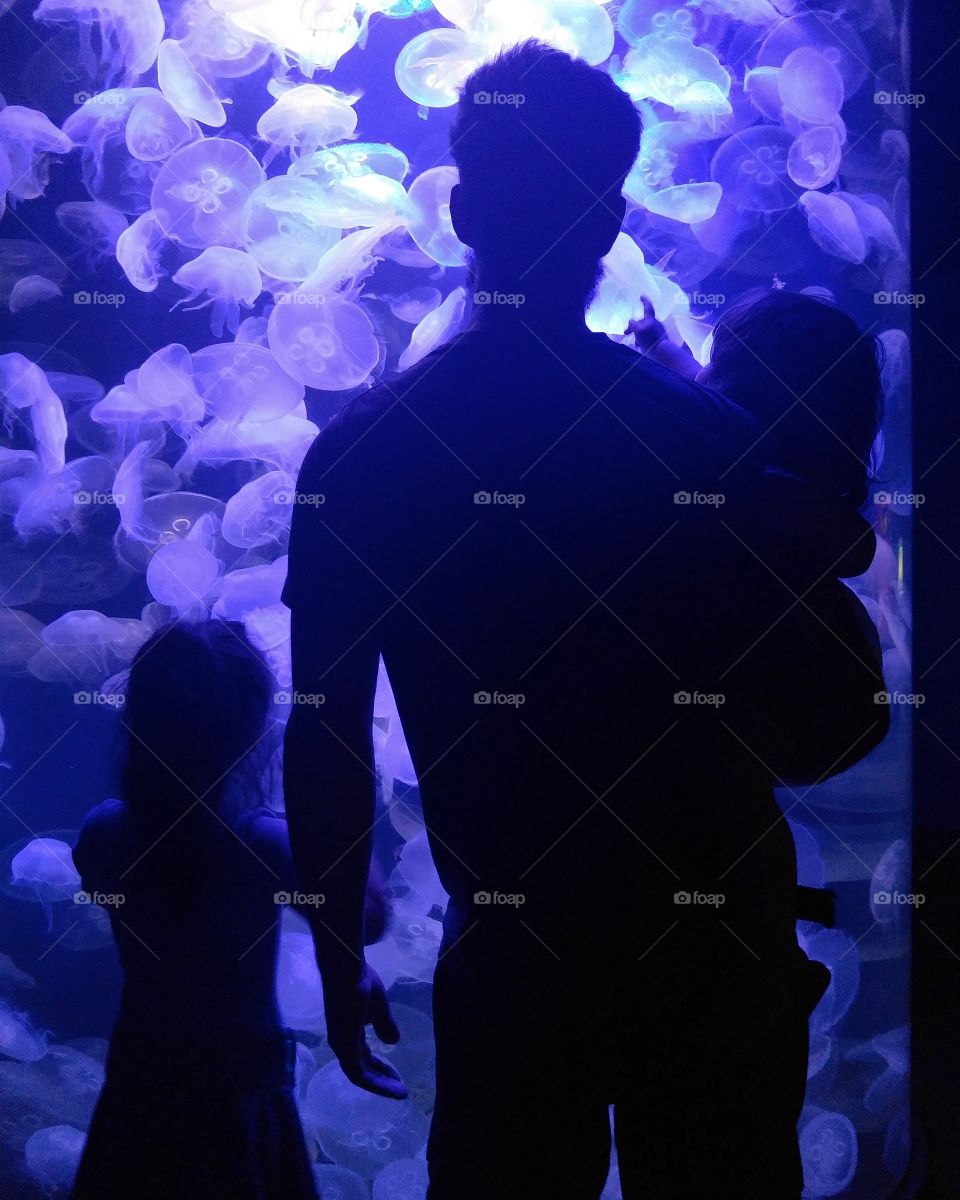 observing the jellies with dad.