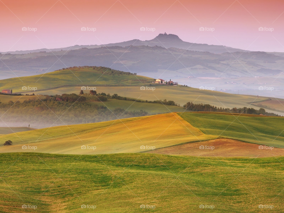 Large fields with greenery 