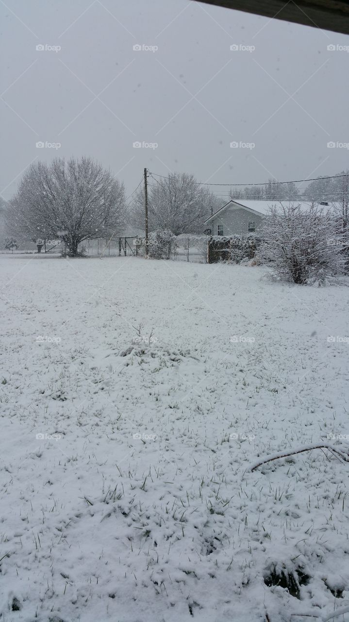 Snow in Manchester TN