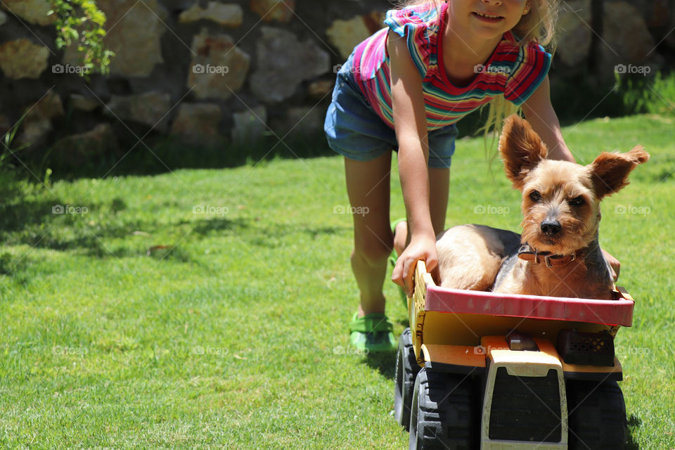 Child pushing their dog in a toy truck