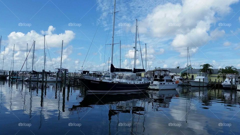 Marina in the morning