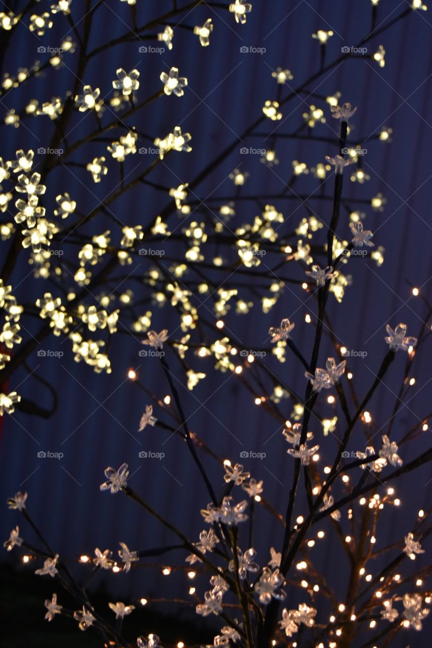 Light, Desktop, Tree, Bright, Abstract