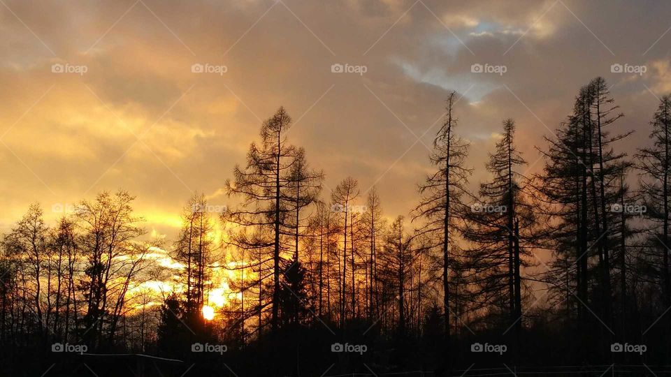 Hotel Hubert High Tatras