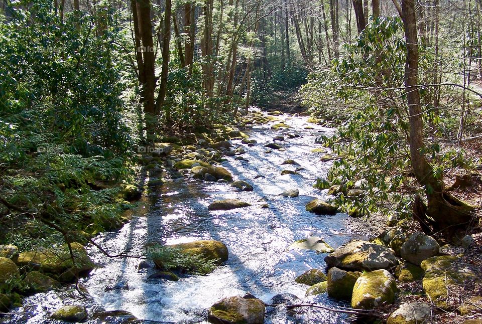 Mountain Creek