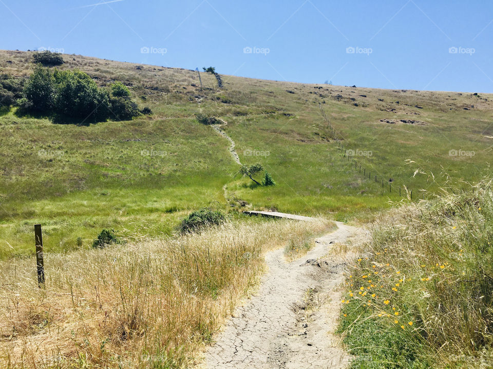 Taking a walk on the trail