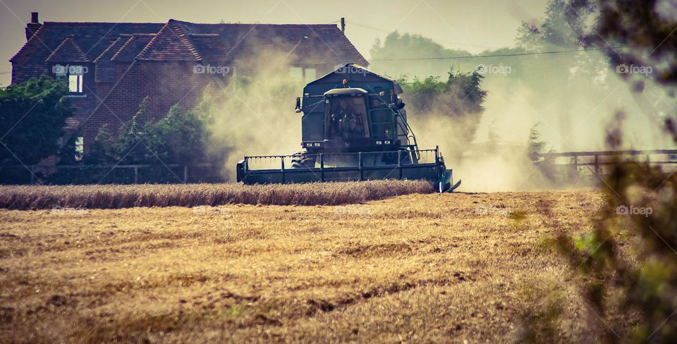 A combine harvester cutting wheat in a field with a farmhouse in the background 