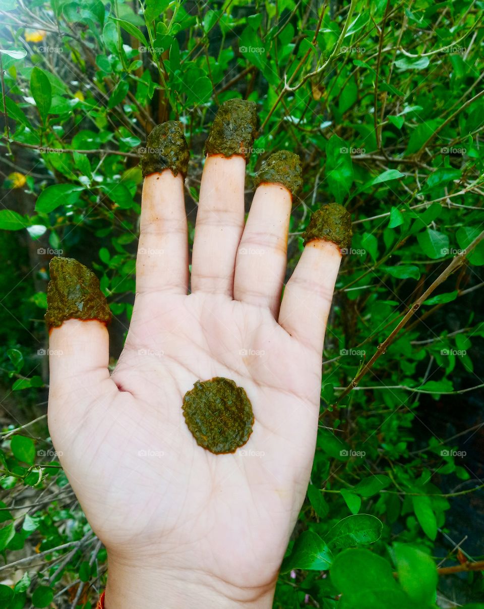 Mehndi is a form of body art and temporary skin decoration usually drawn on hands or legs, in which decorative designs are created on a person's body, using a paste, created from the powdered dry leaves of the henna plant (Lawsonia inermis).