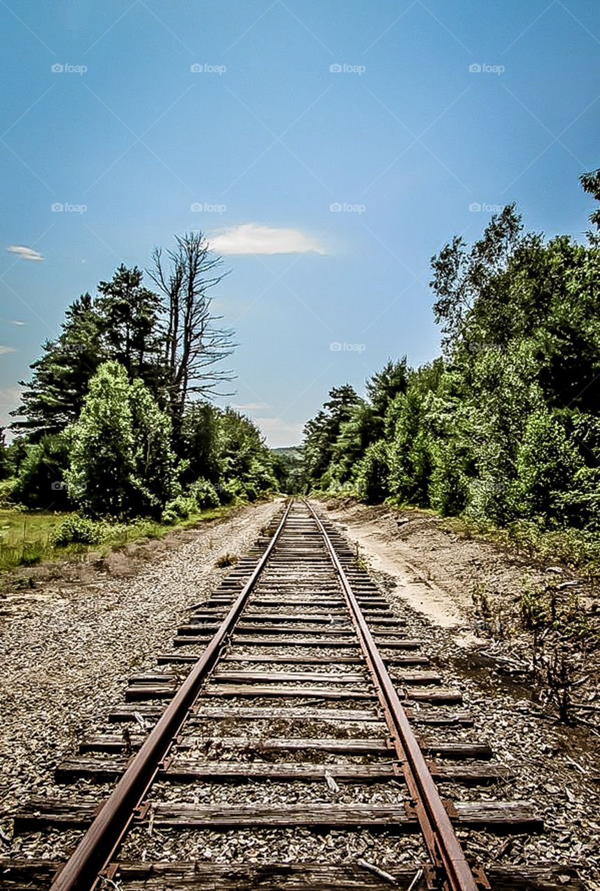 Forever Railway Track's