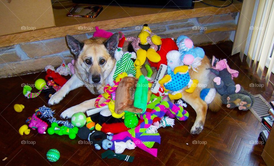 So many toys
