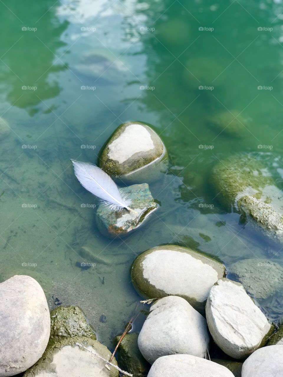 A floating feather beside the rocks. It looks unique.