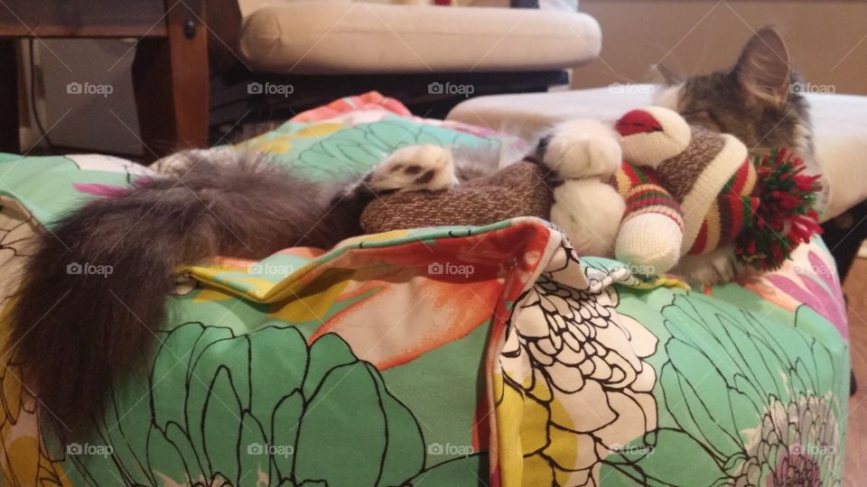 Sofi sleeping with her monkey