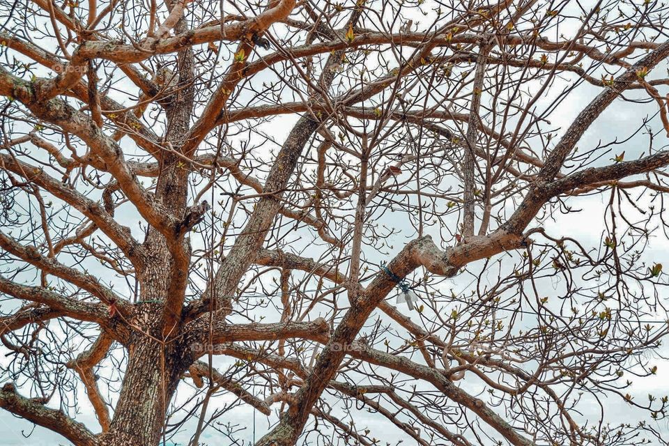 And it's spring time again! 🌿 Believe it or not, spring somehow inspire people to be the better version of themselves. No matter how hard and unreal the circumstances, people always believed in growth and second chances.