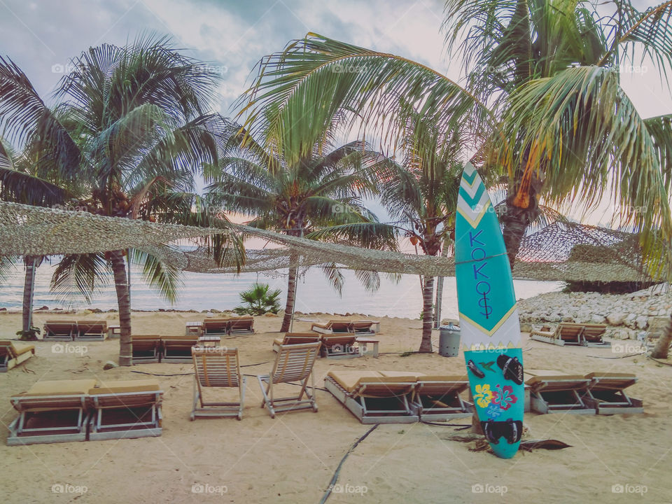 sand beach and palm trees 🌊