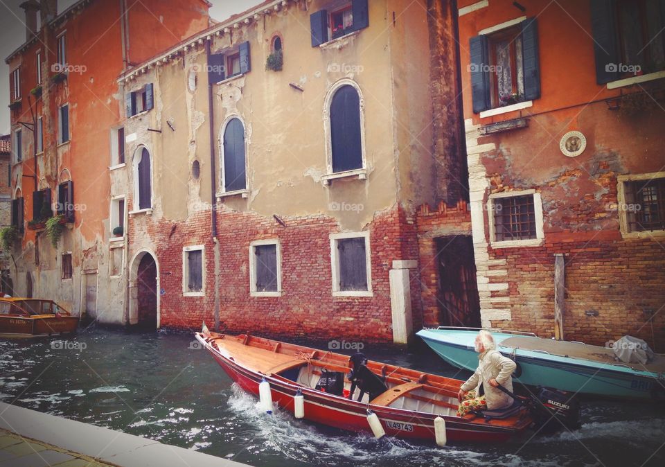 Adult white haired man with his dog in gondola 