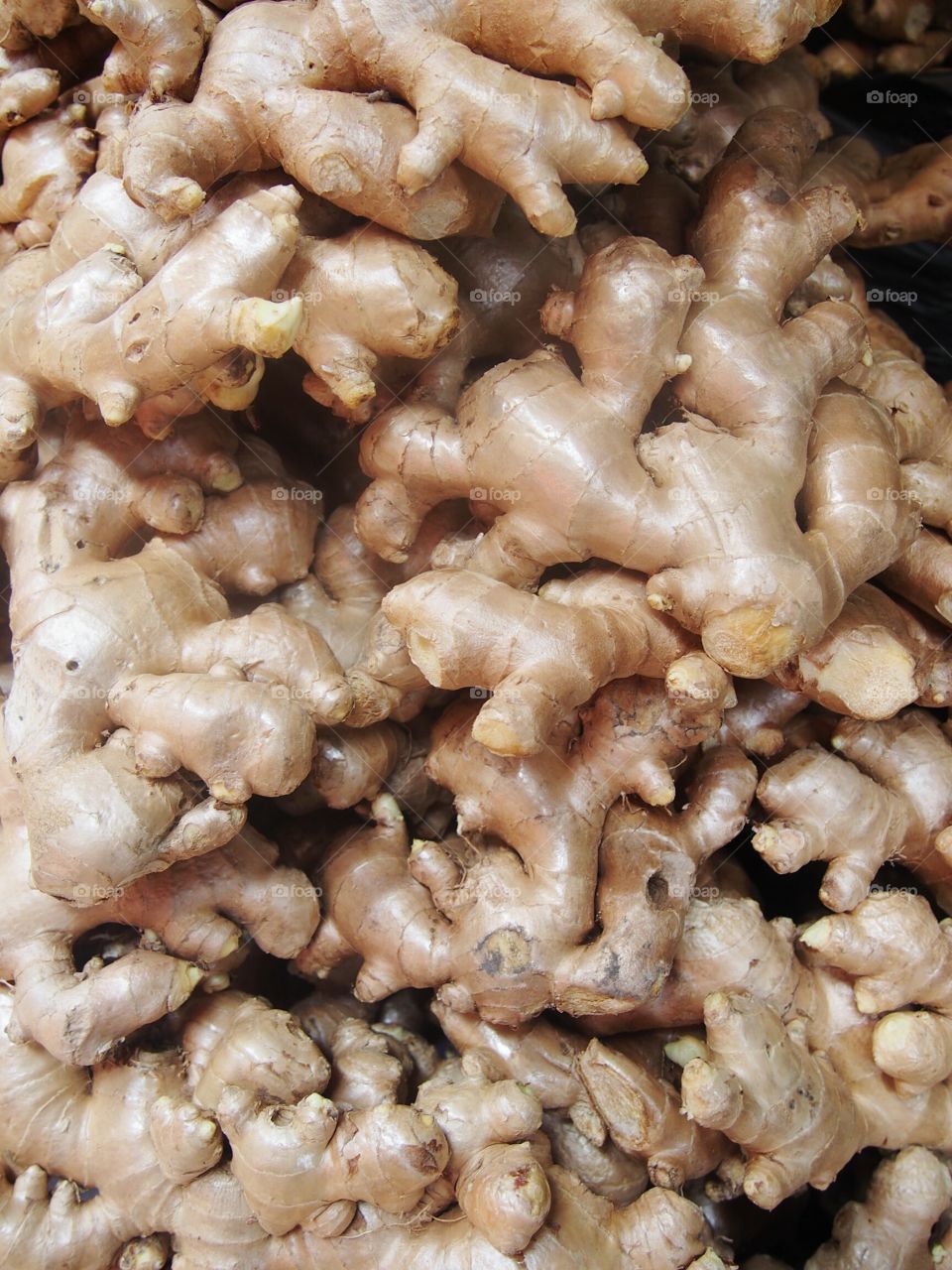 Full frame of ginger