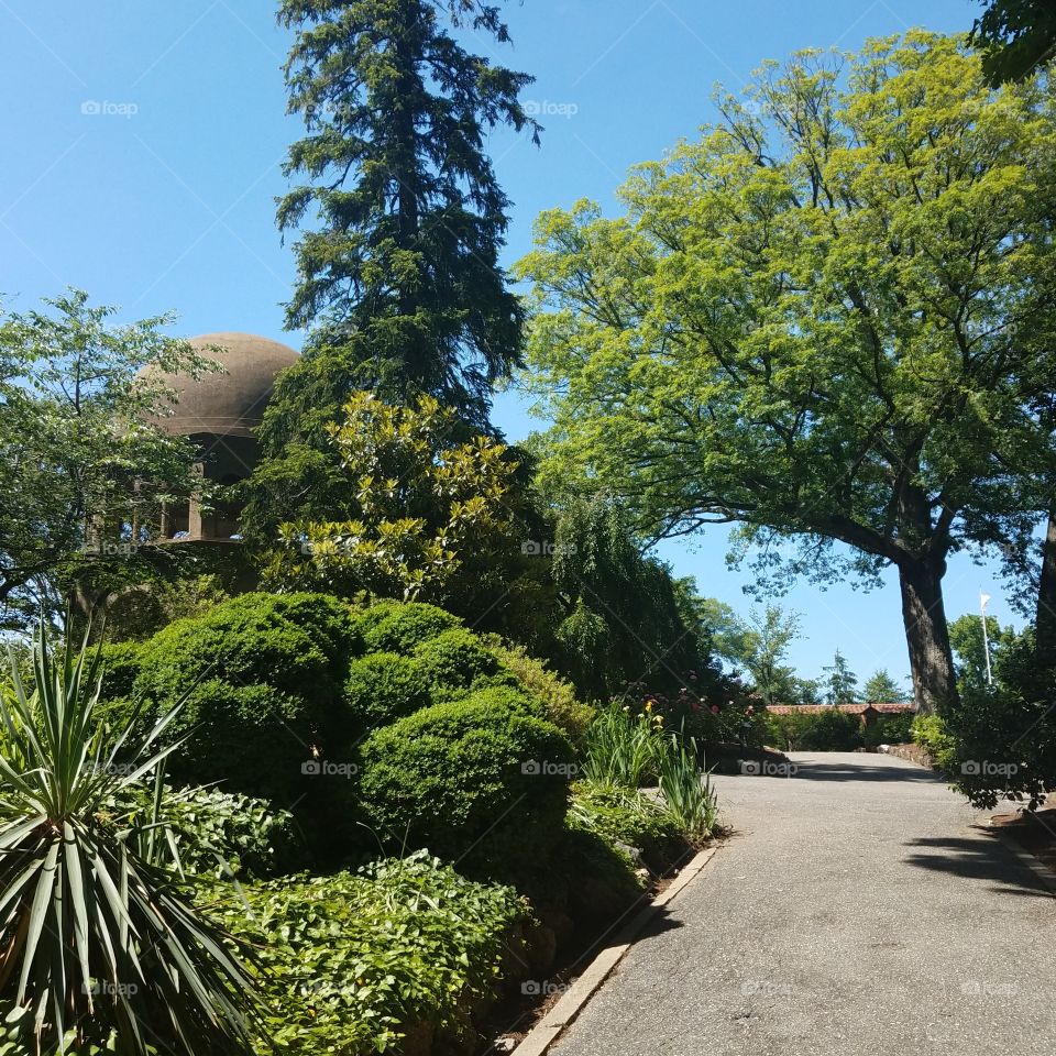 Path to chapel