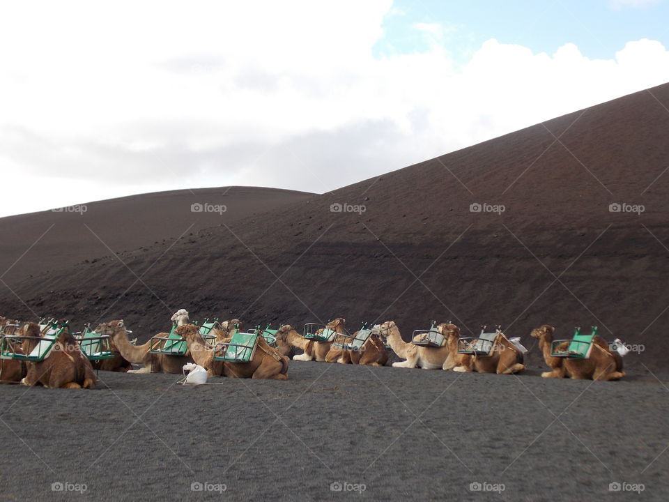 Timanfaya Lanzarote 