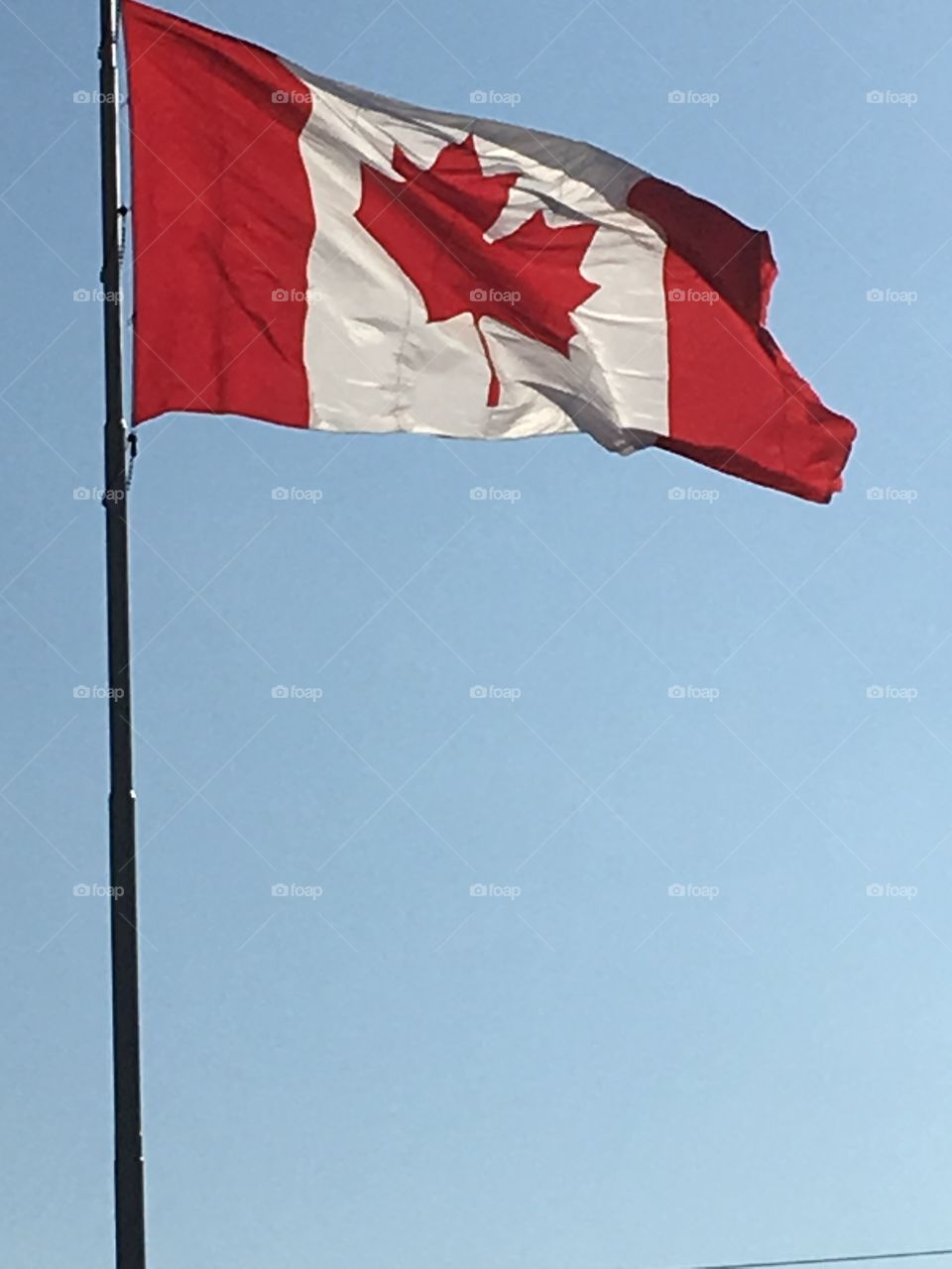 Canadian flag blowing in the wind 