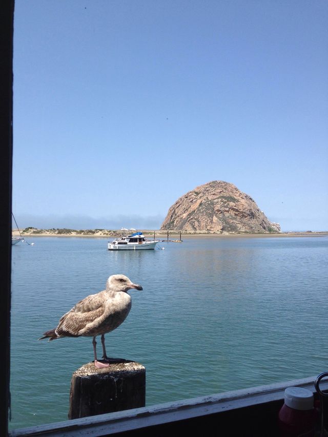 "Sittin' On The Dock of the Bay"