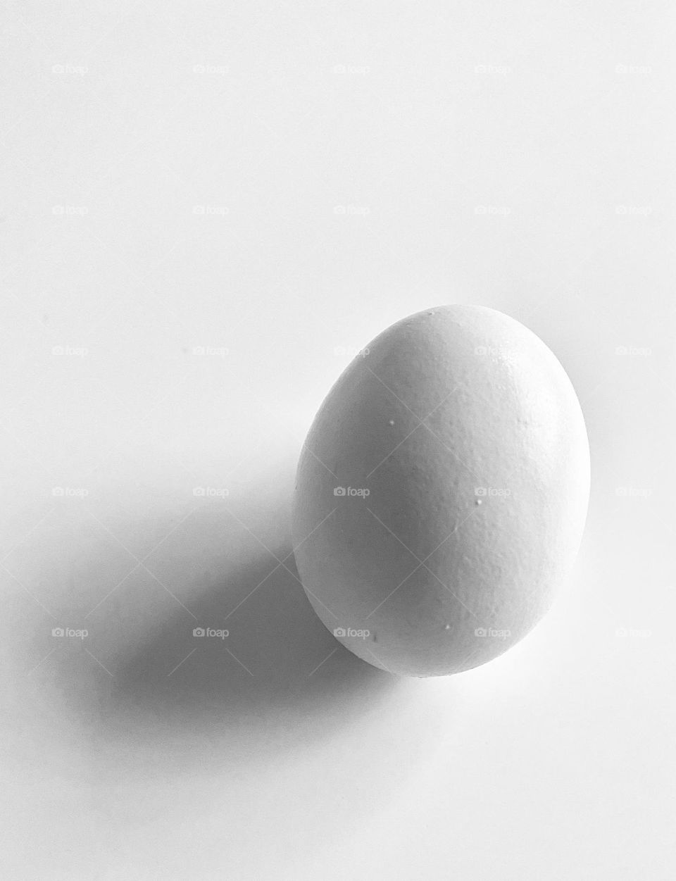 Single white egg on white background 