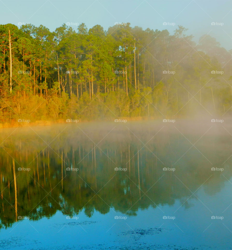 Lake early in the morning fog! Water, Water, everywhere! I just happen to be fortunate enough to live in a state that has approximately 12,000 square miles of beautiful, refreshing, colorful oceans, rivers, lakes, ponds and swamps!