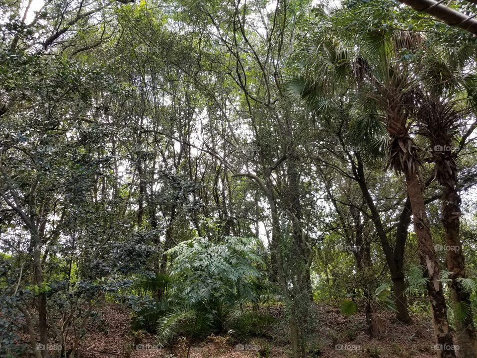 The trees provide some much-needed shade from the summer sun.