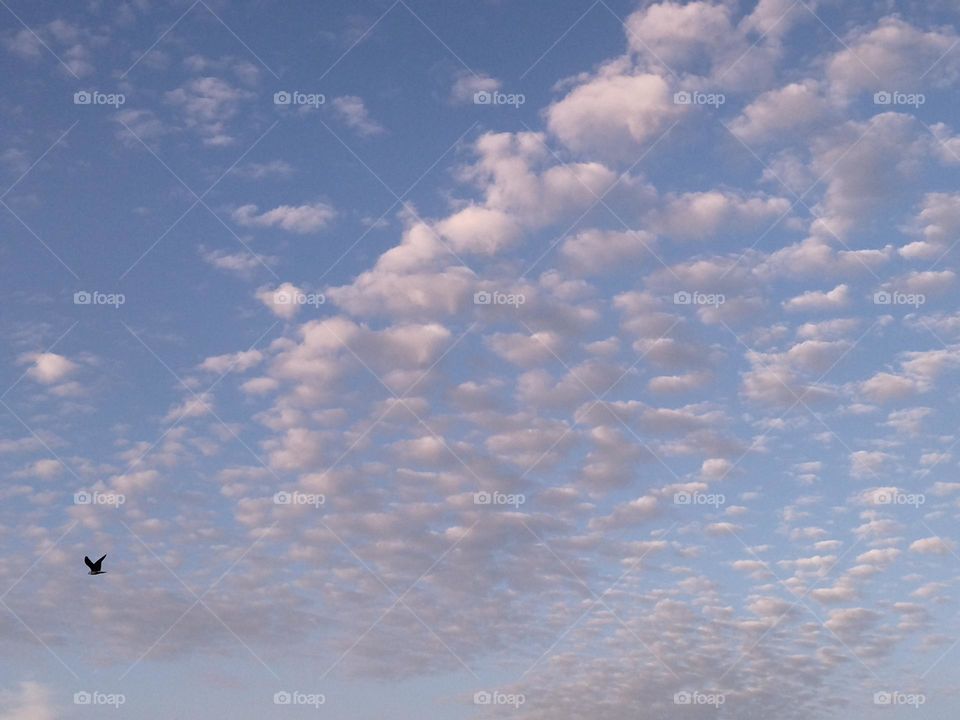 Sky are designed by clouds