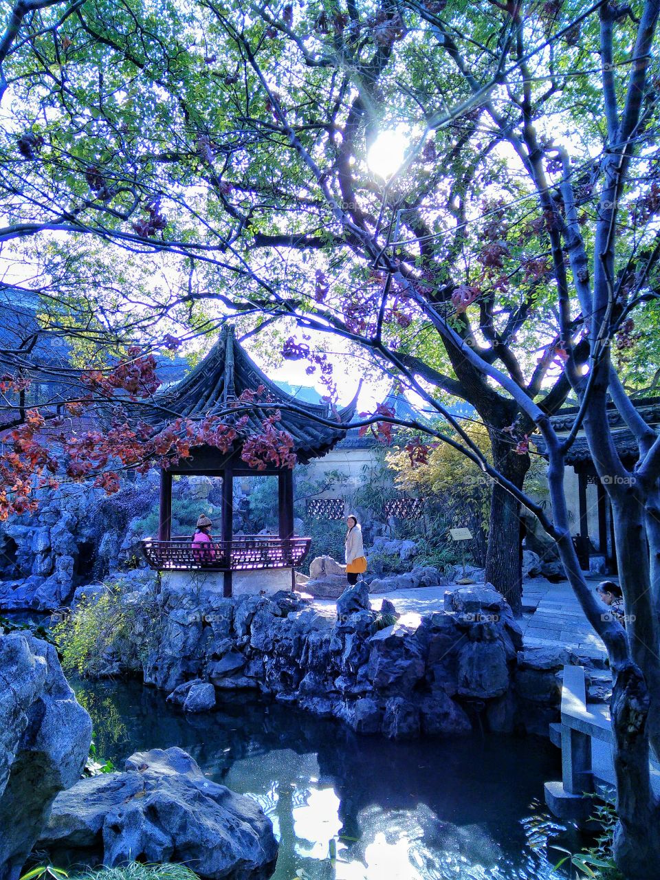 Romantic colorful landscape in Shanghai, Mandarin Yu Garden