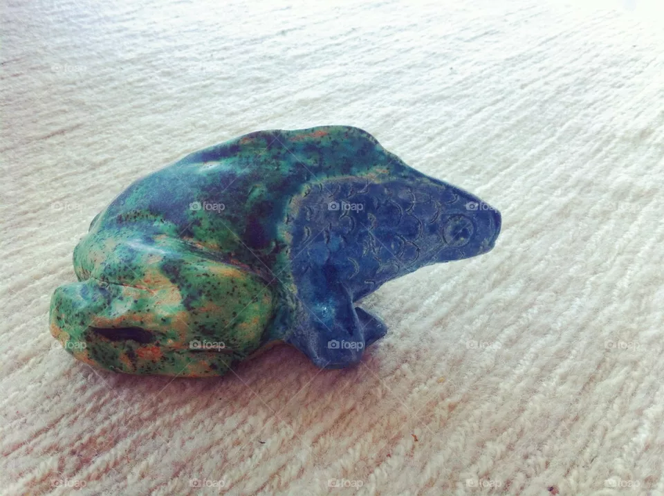 Frogfish