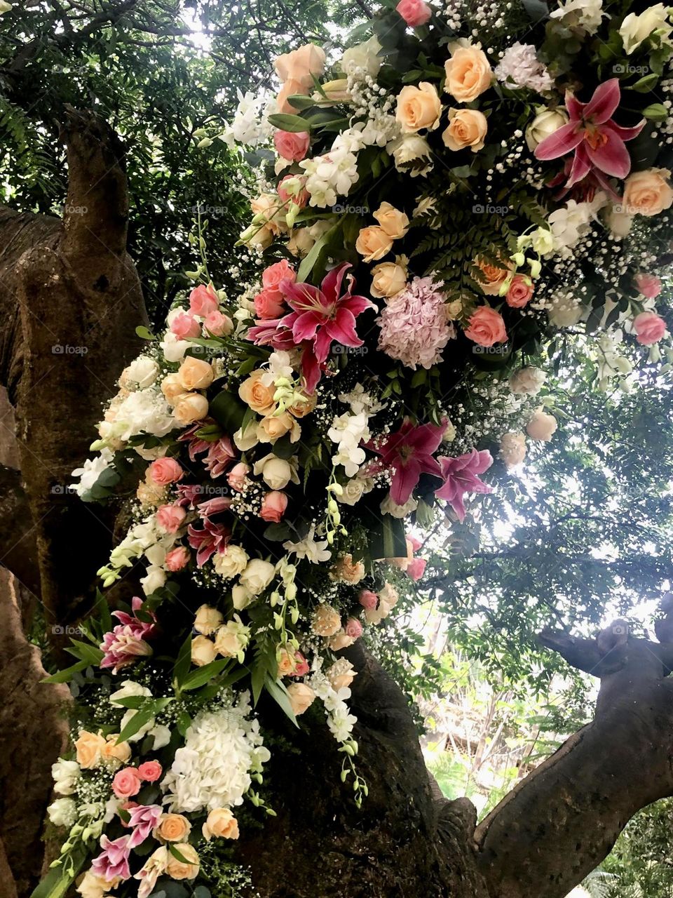 Flower decoration on a  branch of a tree