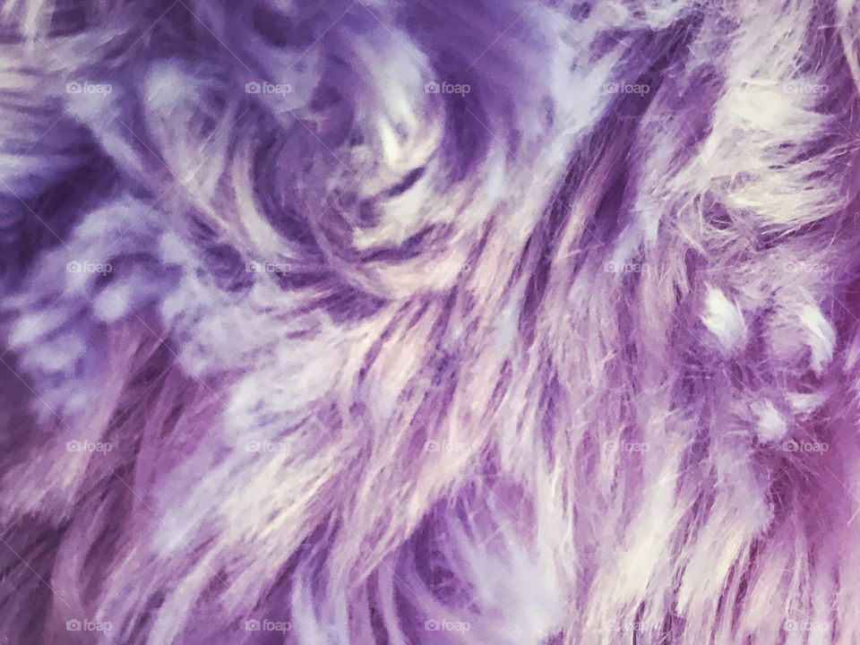 Purple swirl fur 