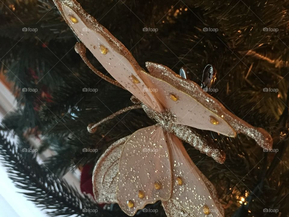 Christmas butterfly