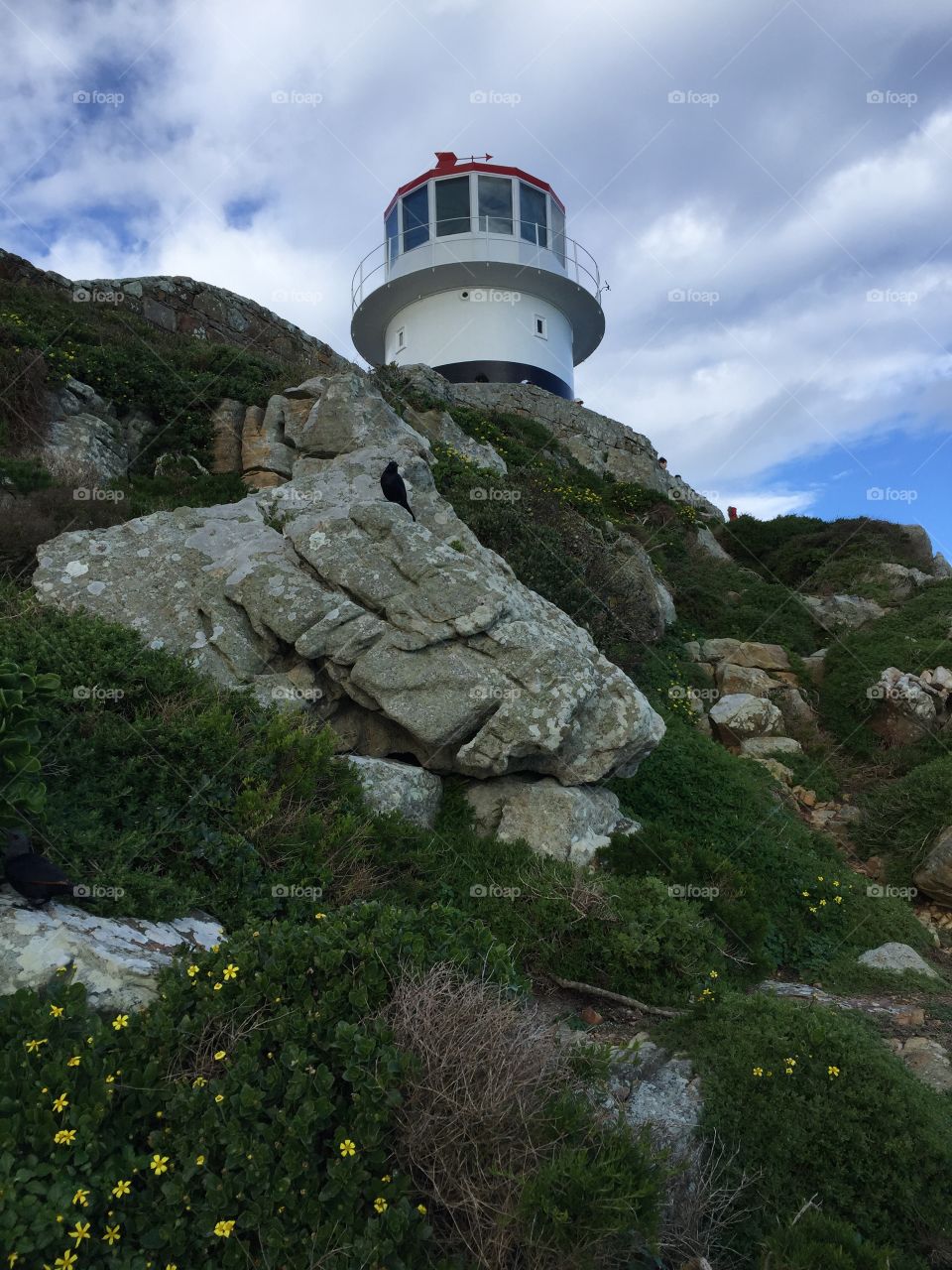 Cape of good hope lighthouse