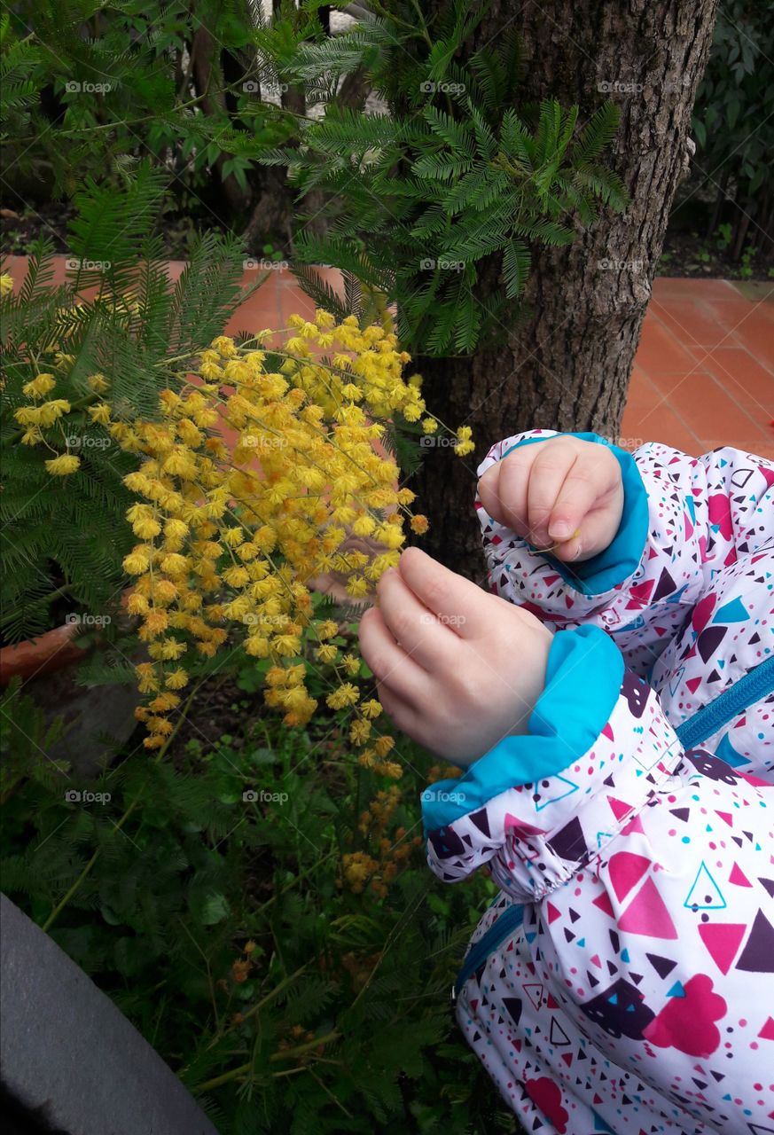 child touching flowers