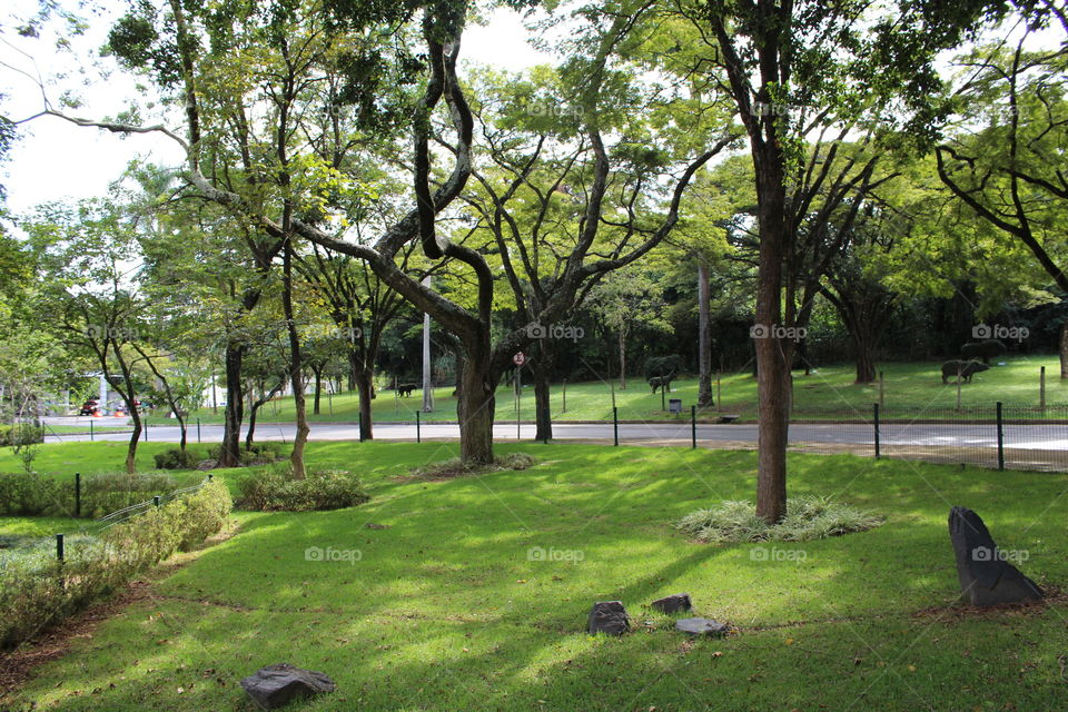 Beautiful view of a park in Brazil